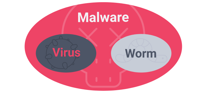 Viruses and Worms