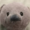 Author Images